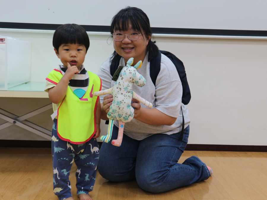 1150401(2)(3)花布馬安撫娃娃