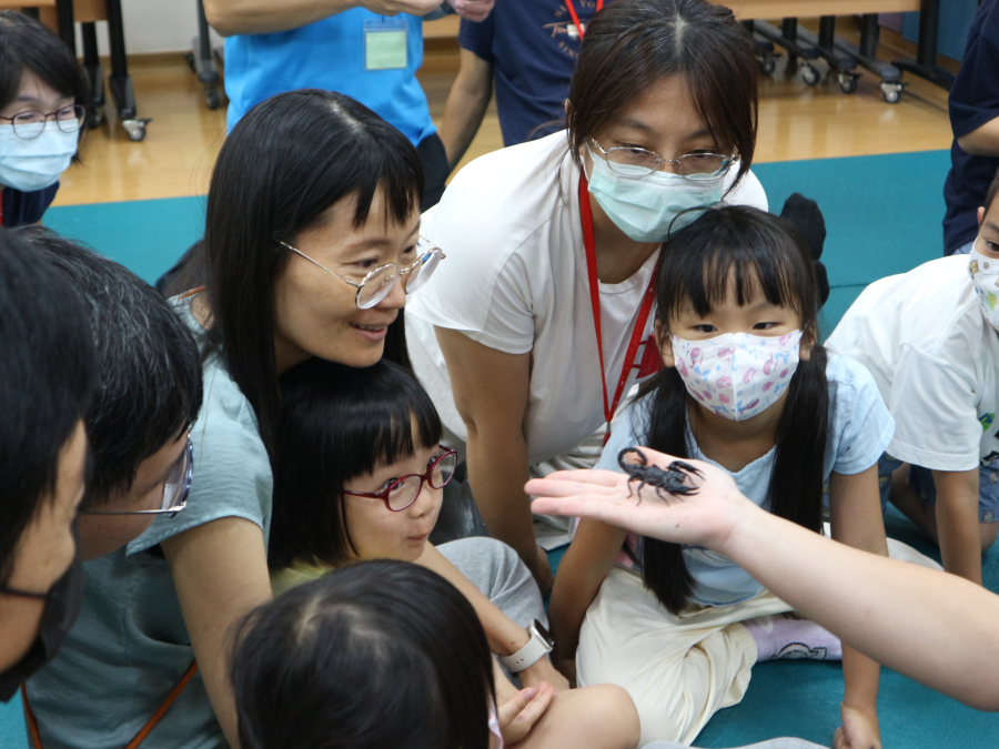 1140803(2)親子STEAM： 有鉗動物大集合-螃蟹