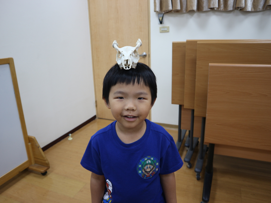 1150419(1)親子STEAM：骨頭化石大不同：山豬牙項鍊