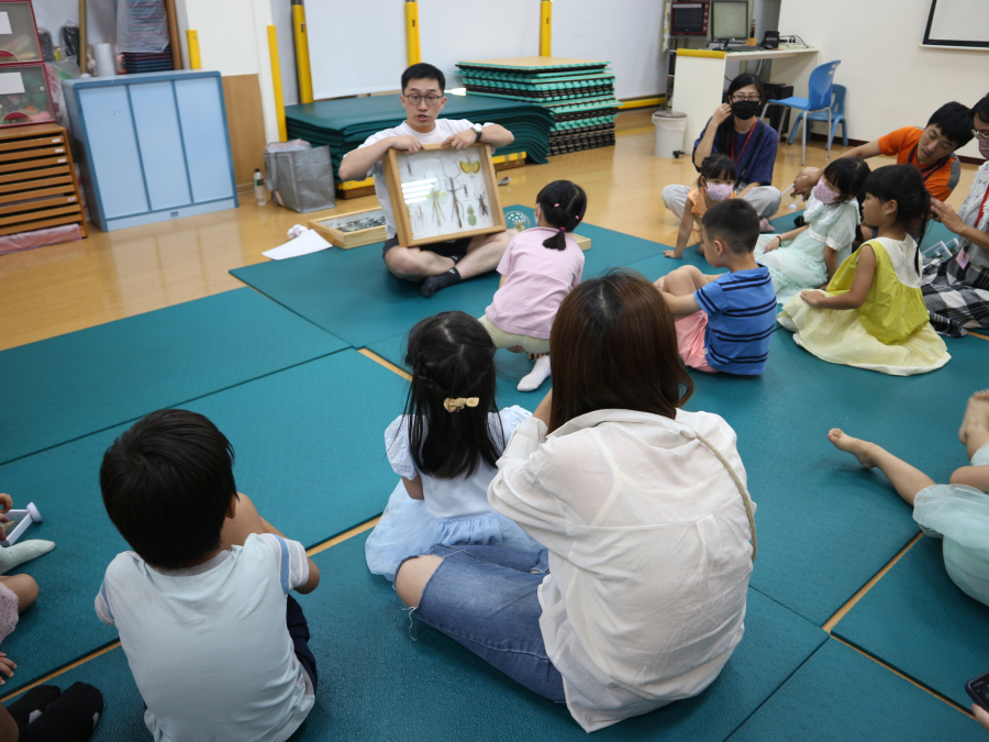 1141005(2)親子STEAM：觀察-動物翅膀的秘密