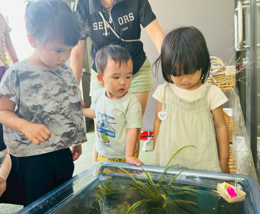 小小釣手