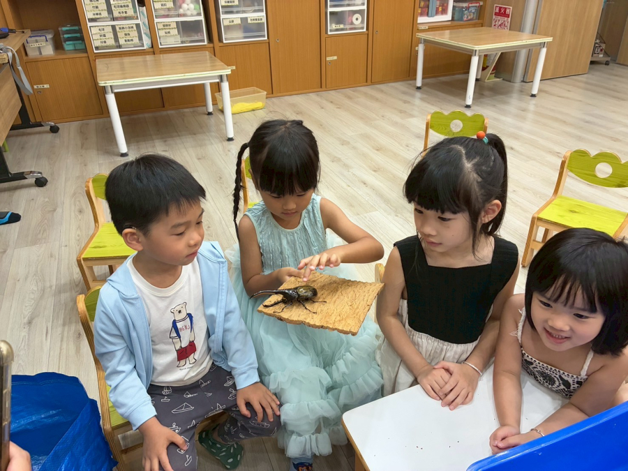 LINE_ALBUM_1140601親子活動-生`Z&.9ojyoy&甲蟲_250601_36